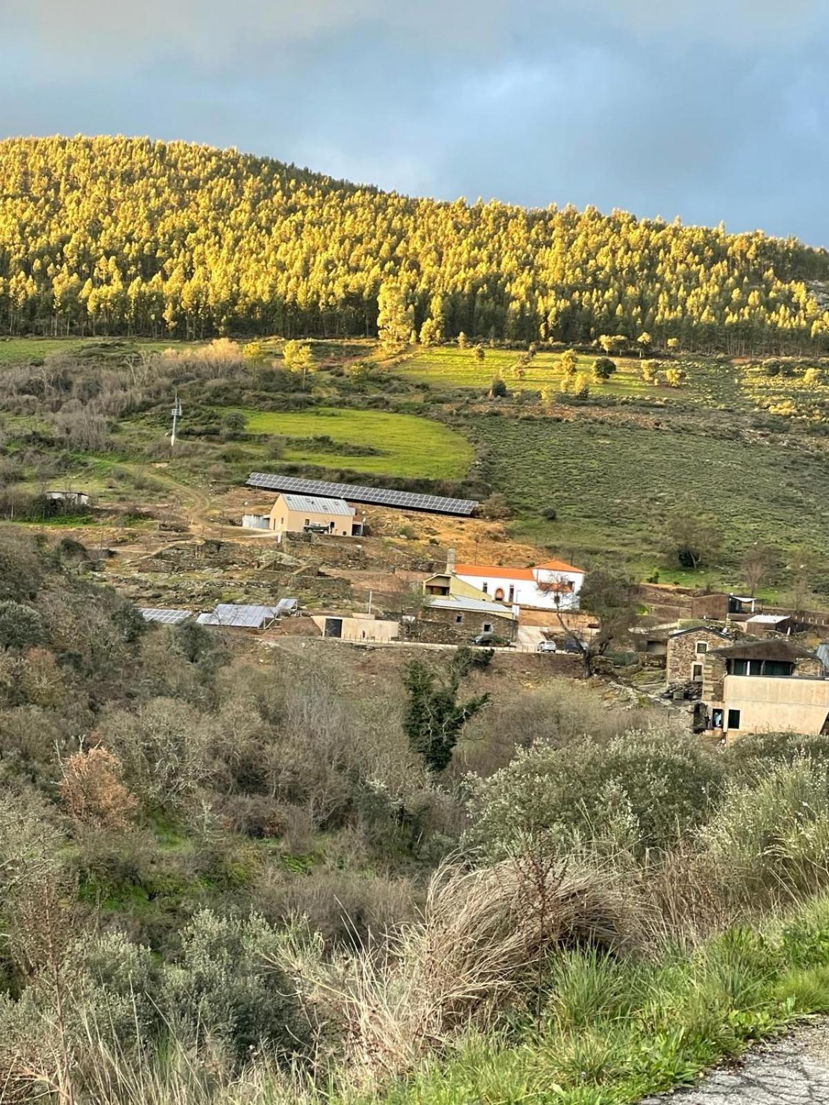 Colmeal Countryside Hotel Figueira de Castelo Rodrigo Eksteriør bilde