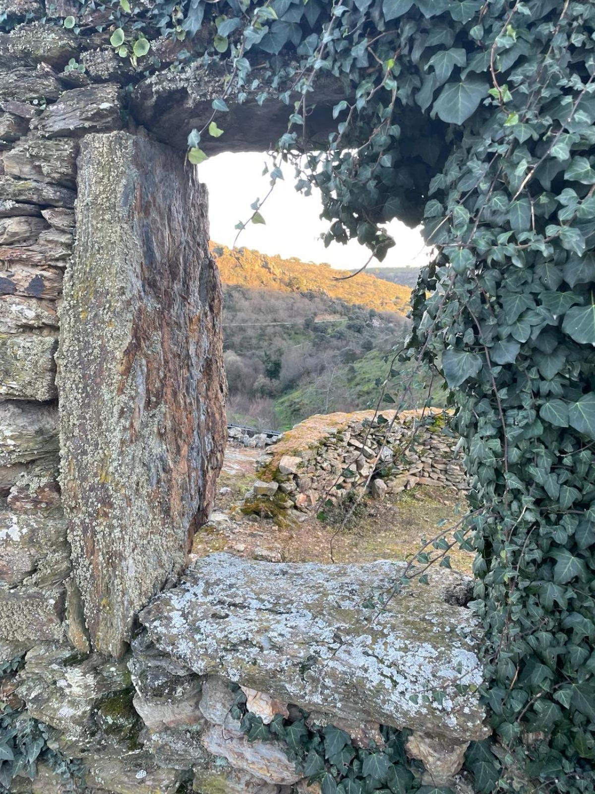Colmeal Countryside Hotel Figueira de Castelo Rodrigo Eksteriør bilde